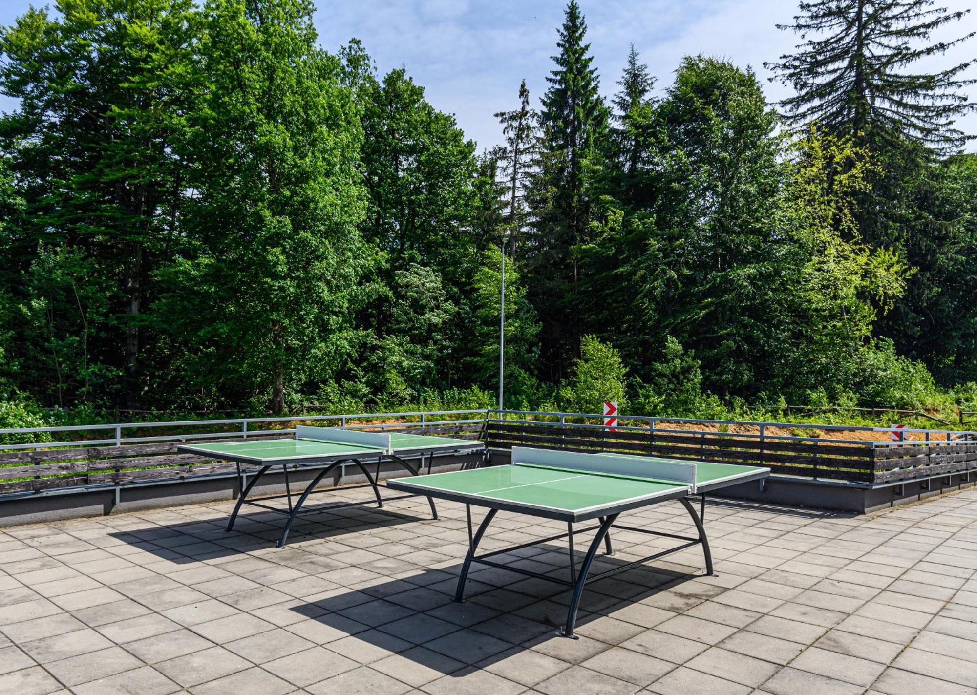 Apartment "Mountain Relax" Poiana Brasov Luaran gambar