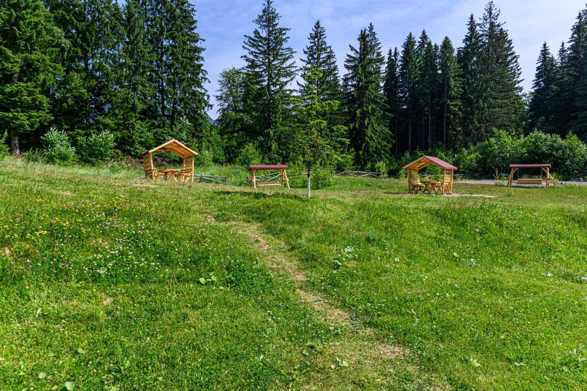 Apartment "Mountain Relax" Poiana Brasov Luaran gambar